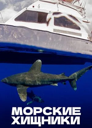 Морские хищники