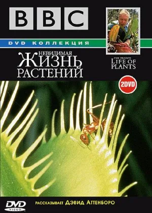Невидимая жизнь растений