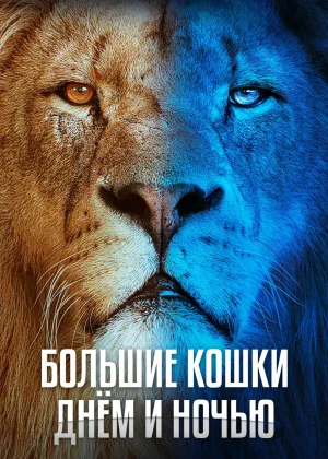Большие кошки днем и ночью