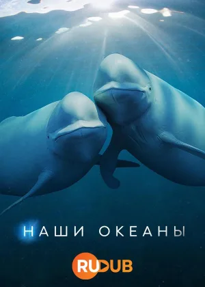Наши океаны