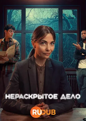 Нераскрытое дело (2024)