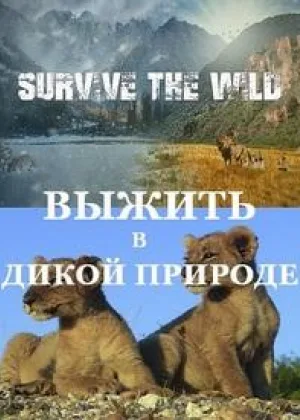 Как выжить в дикой природе