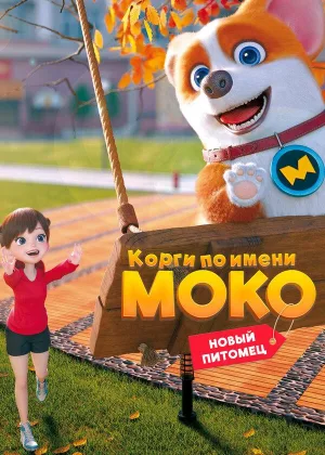 Корги по имени Моко. Новый питомец