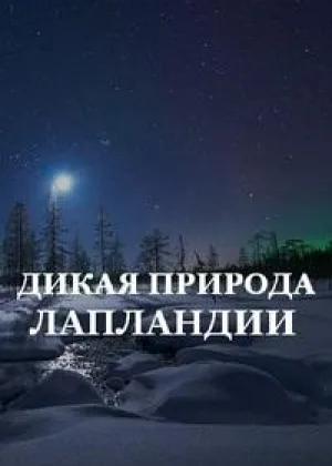 Дикая природа Лапландии
