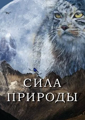 Сила природы