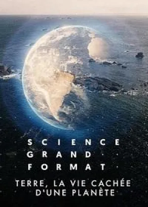 Земля: симфония жизни