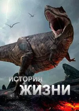История жизни (2012)
