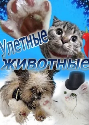 Улетные животные онлайн