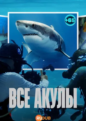 Все акулы
