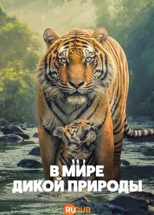 В мире дикой природы (2025)