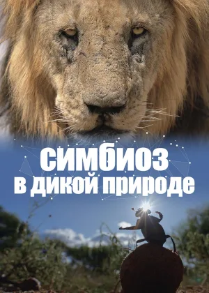 Симбиоз в дикой природе