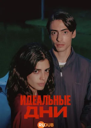 Идеальные дни
