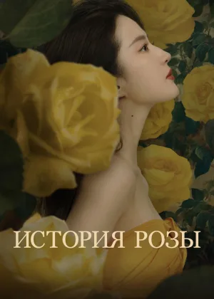 История розы