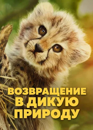 Возвращение в дикую природу