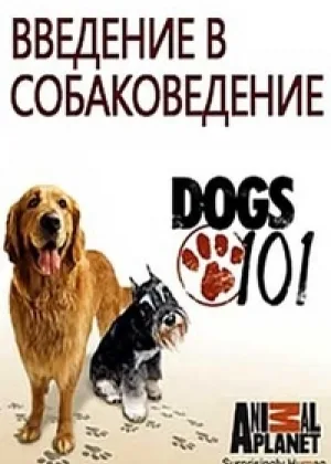Введение в собаковедение