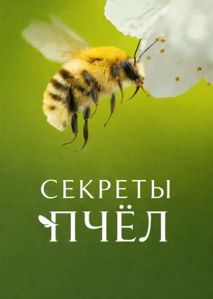 Секреты пчел