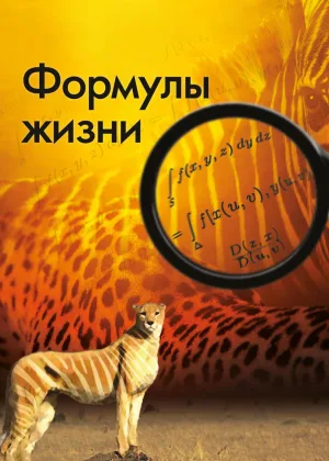 Формулы жизни