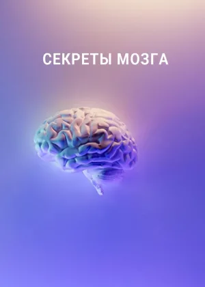 Секреты мозга (2016)