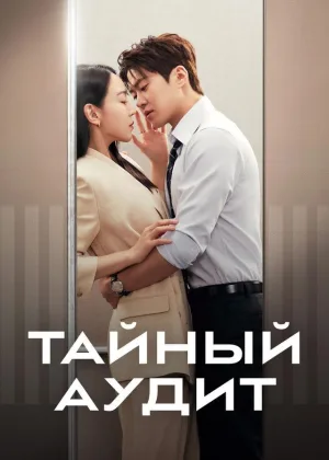 Тайный аудит