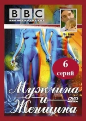BBC: Мужчина и женщина