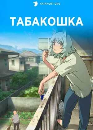 Табакошка