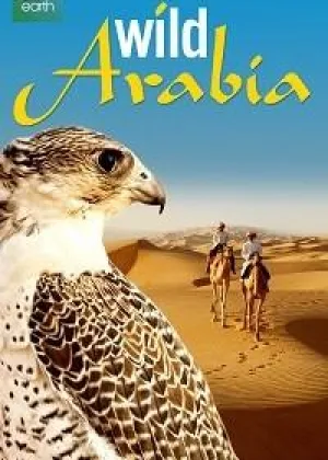 Дикая Аравия