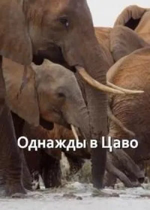 Однажды в Цаво