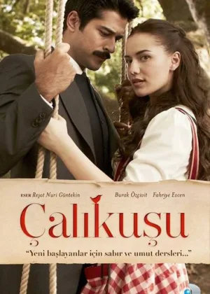 Королек - птичка певчая (2013)