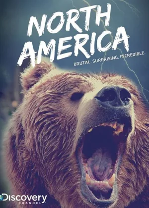 Северная Америка