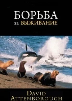 BBC: Борьба за выживание