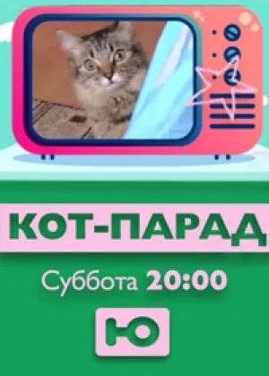 Кот-парад онлайн