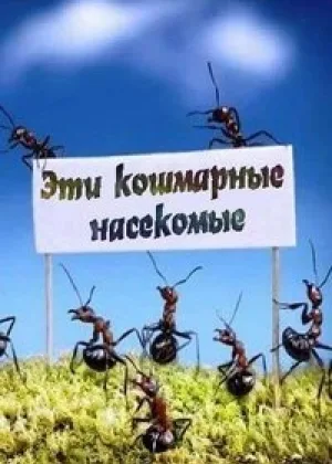 Эти кошмарные насекомые