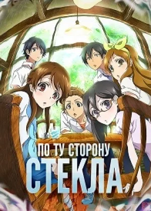 По ту сторону стекла