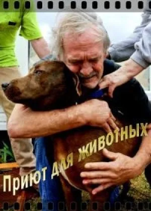 Приют для животных