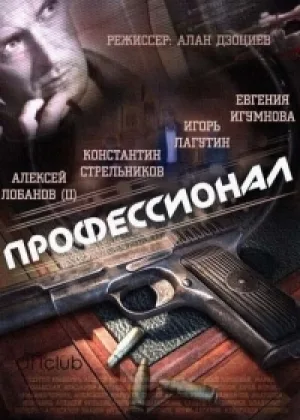 Профессионал онлайн