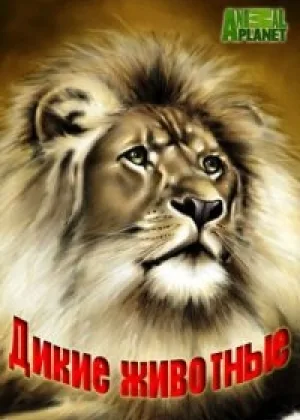 Animal Planet: Дикие животные