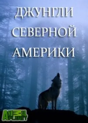 Animal Planet: Джунгли Северной Америки