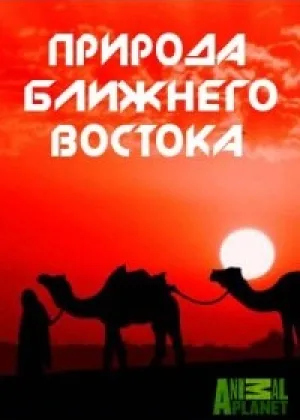 Animal Planet: Природа Ближнего Востока