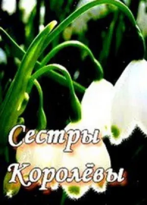 Сестры Королёвы онлайн