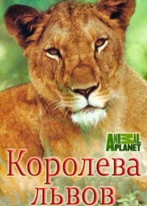Королева львов