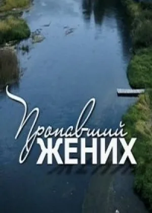 Пропавший жених онлайн