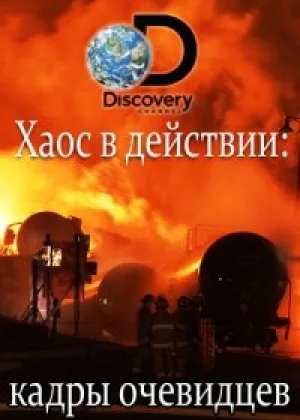 Хаос в действии. Кадры очевидцев