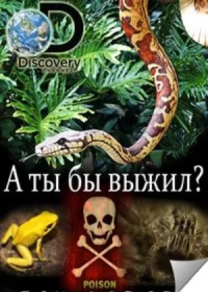 А ты бы выжил?