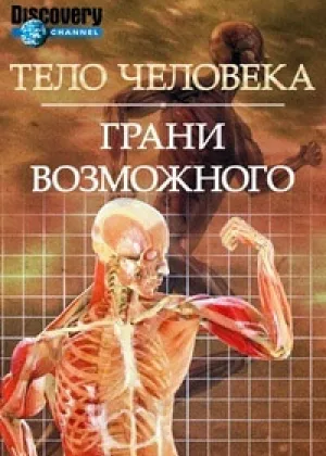 Тело человека. Грани возможного