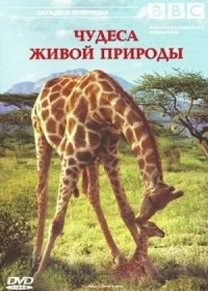 BBC: Чудеса живой природы