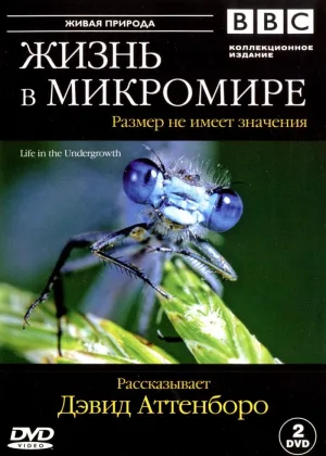 Жизнь в микромире