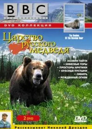 Царство русского медведя