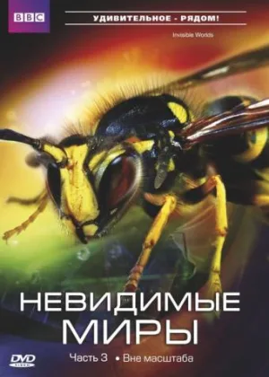 Невидимые миры ВВС