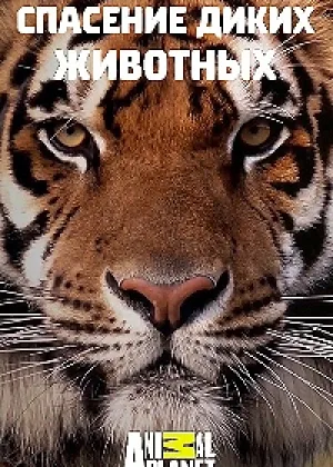 Спасение диких животных