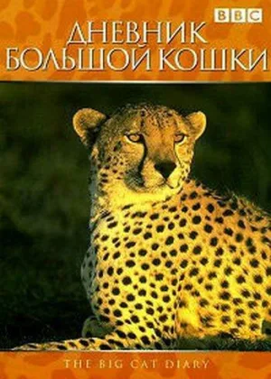 Дневник большой кошки